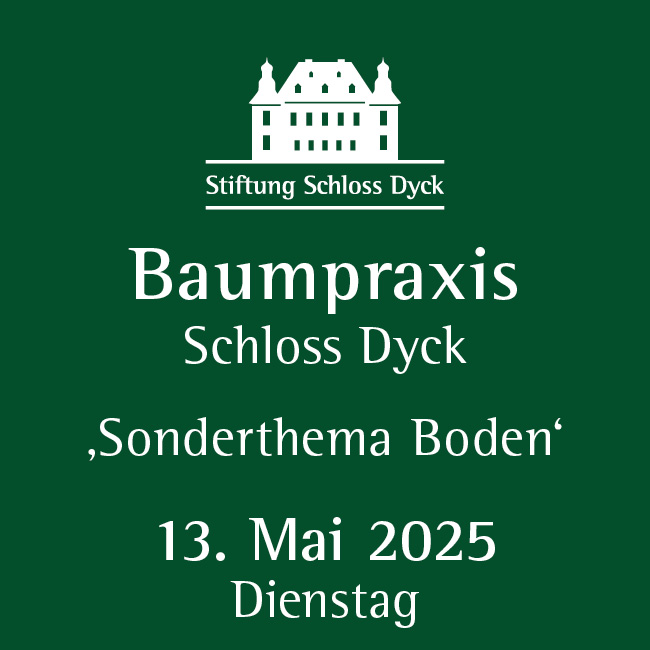 Baumpraxis